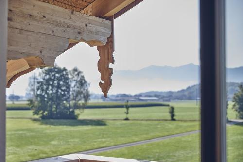 Aussicht Linde