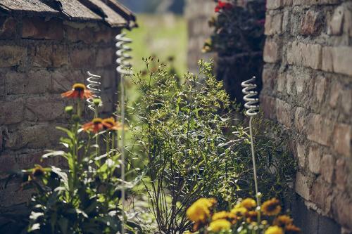 impressionen3