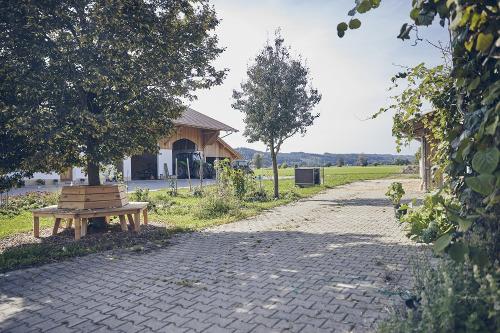 impressionenbaumbank