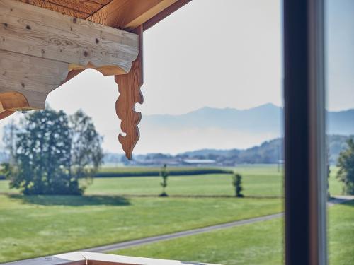 Aussicht Linde