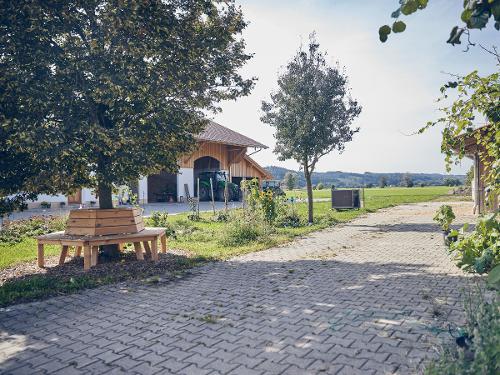 impressionenbaumbank