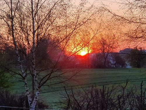 Impressionen