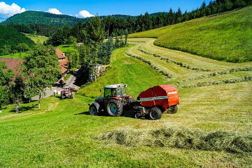 fiegenhof_feld