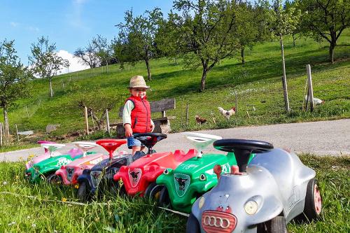 fiegenhof_kinderfahrzeuge