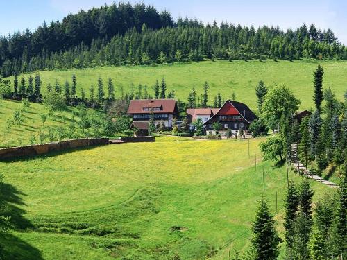 fiegenhof-im-schwarzwald