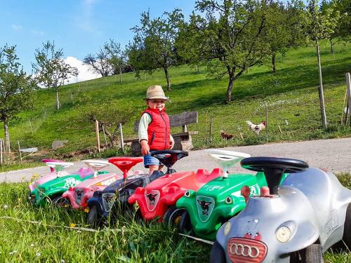 fiegenhof_kinderfahrzeuge
