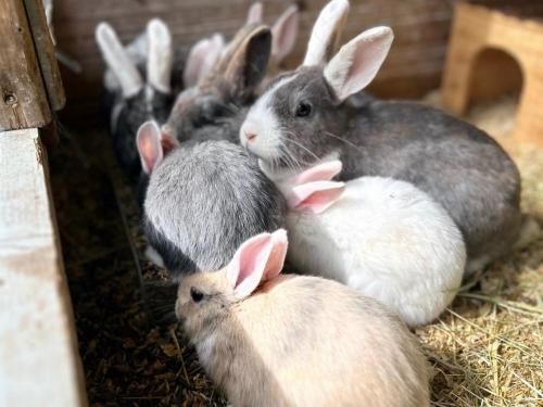 img_e96811 img_e96811