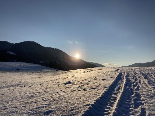Sonnenaufgang Ammergauer Alpen