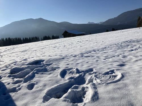 Schneeengel in weißem Pulverschnee