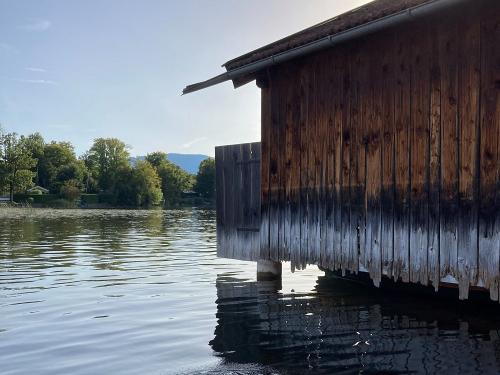  Morgenstimmung am See