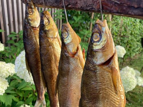 Frischer Fisch aus der hauseigenen Fischerei