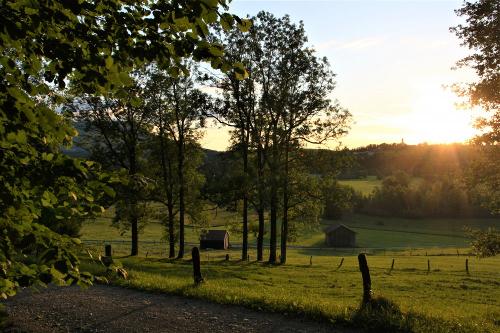 Wandern direkt vom Hof aus