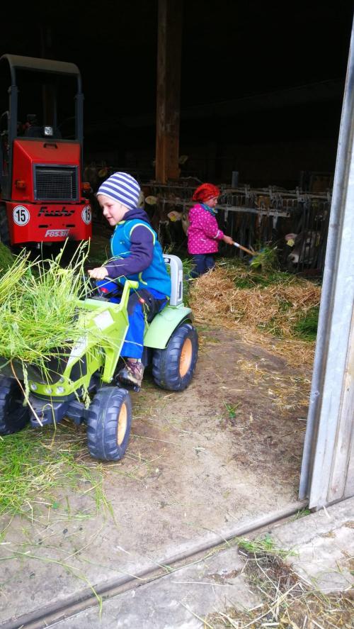 Stallarbeit
