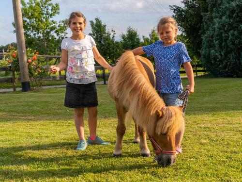 Ponyreiten
