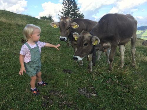 Landwirtschaft hautnah erleben