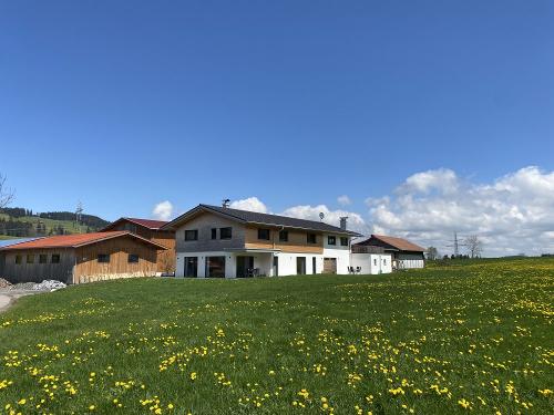 lwenzahnblteamgeihof