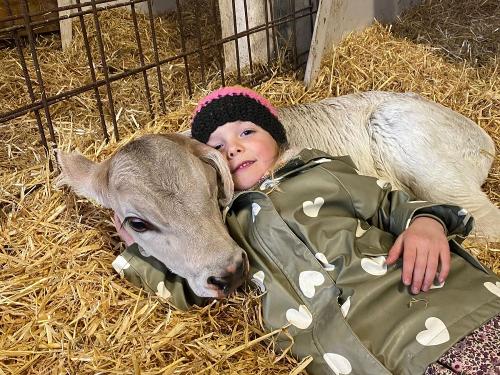 Kälbchen kuscheln Kälbchen kuscheln