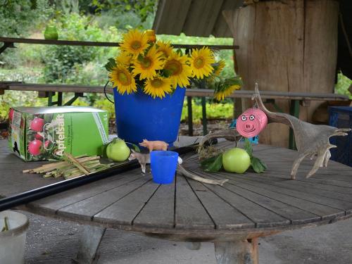 sommerferienprogramm