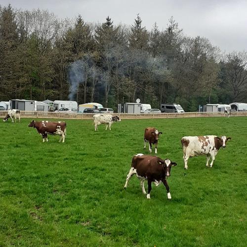Blick auf den Campingplatz