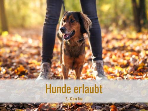 165_hundeerlaubtbw