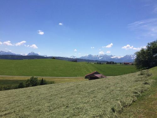Heuernte mit Aussicht