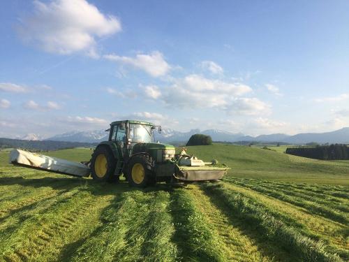 Gras mähen vor Bergkulisse