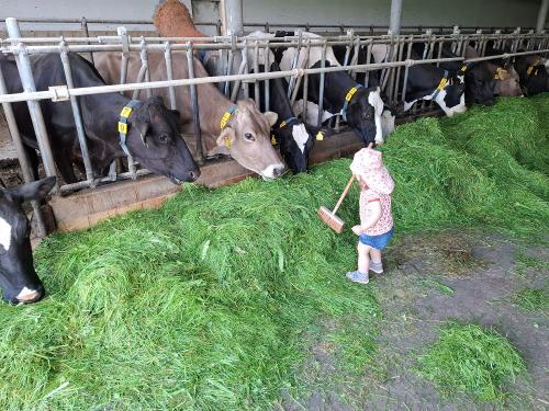 Klein und Groß packt im Stall mit an
