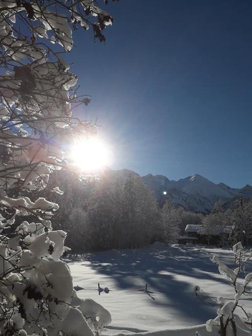 winterzauber