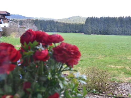 Blumen