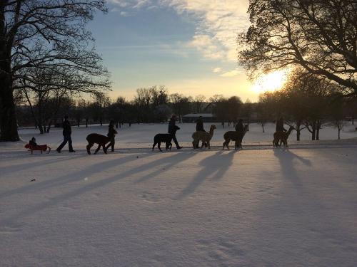 Winterspaziergang