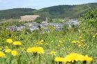 Holthausen