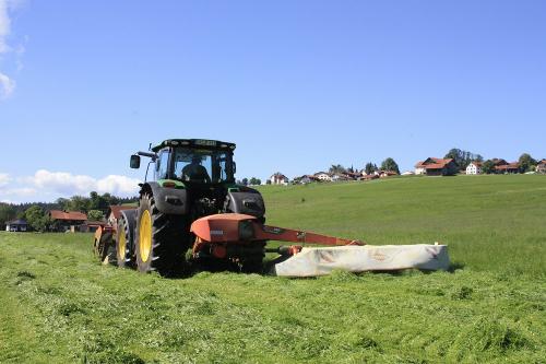 im Sommer beim Mähen