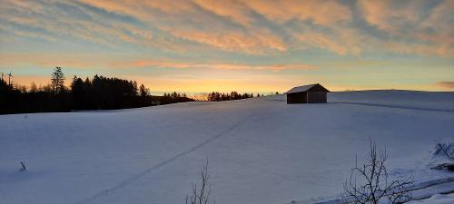 Schöner Wintermorgen im Allgäu