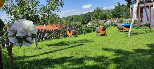 unser Garten mit den Holzpferden