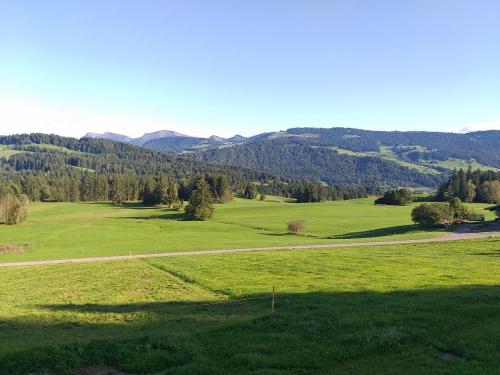 panorama