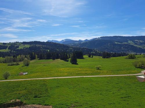 Blick auf den Hochgrat