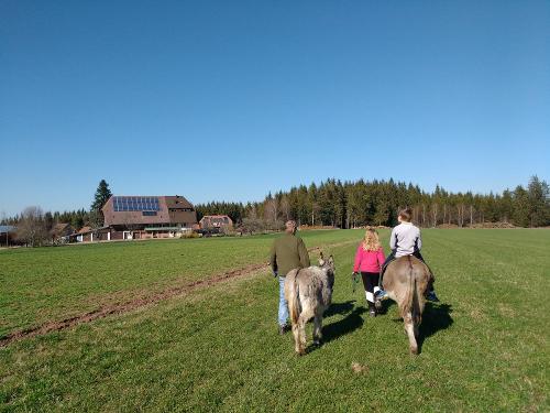 Oberjosenhof