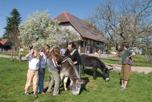 Oberjosenhof Tiere