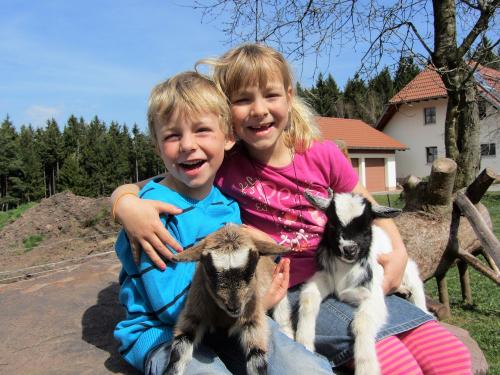 Oberjosenhof Tiere