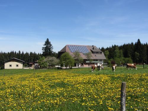 Oberjosenhof