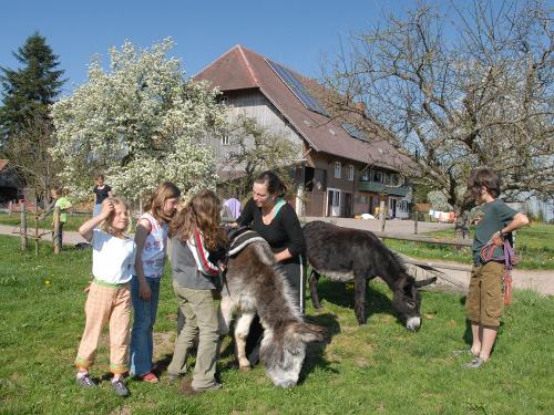 Oberjosenhof Tiere Oberjosenhof Tiere