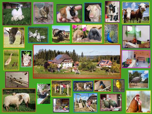 Oberjosenhof Collage Oberjosenhof Collage