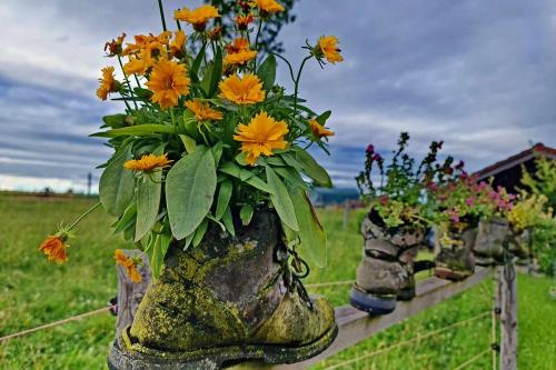 Wanderschuhe