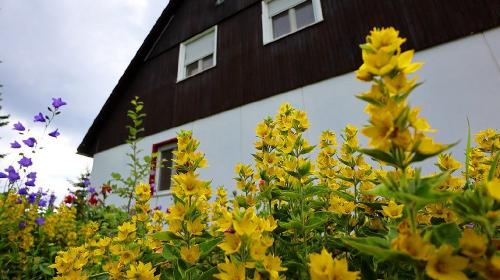 fewo_leber_garten