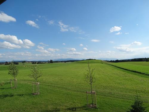 dsc02071