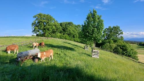 klberaufderweide