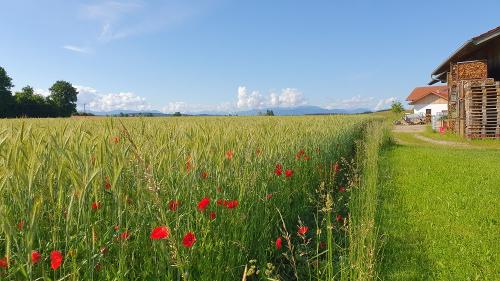 ausblick