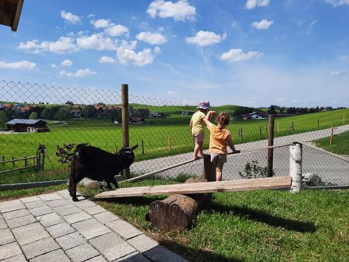 ziegenwippe
