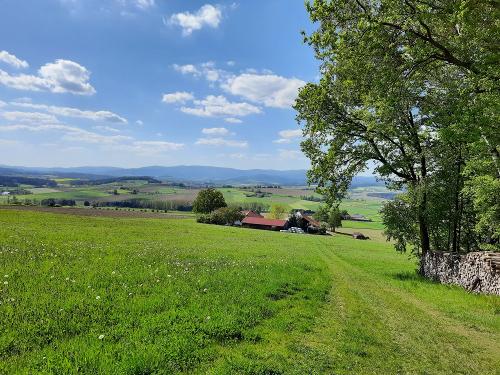 Blick vom Wald zu uns auf dem Hof