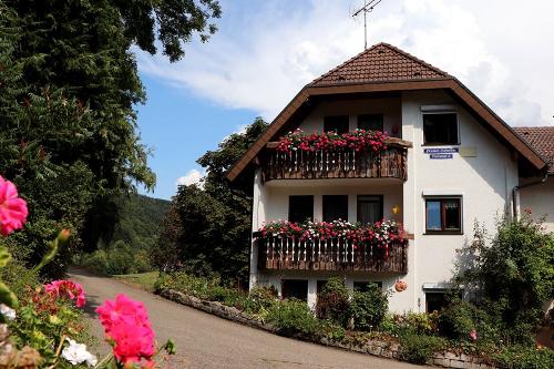 pension-schneider-ansicht-geranie